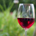 How Resveratrol Combats Leading Causes of Death